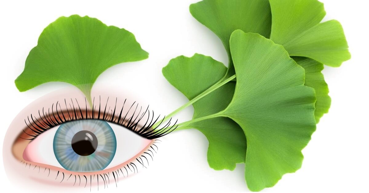 "6 Hierbas Esenciales para Reparar la Visión y Proteger los Ojos de ...