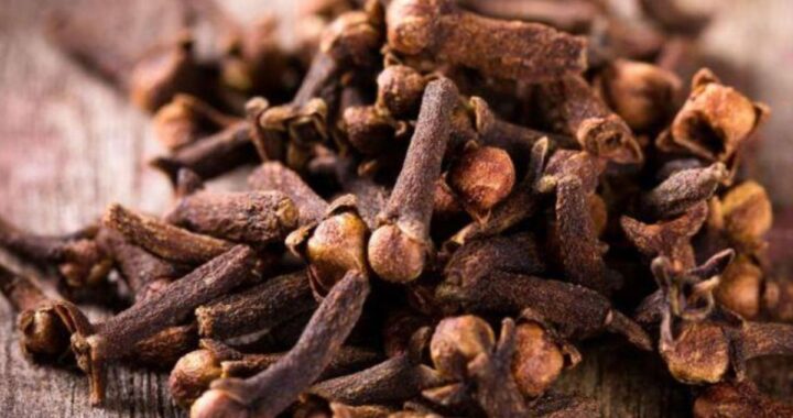 propiedades para la salud de comer un clavo de olor al día: Propiedades, recetas y precauciones