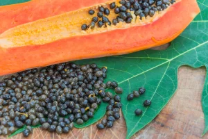 semillas de papaya