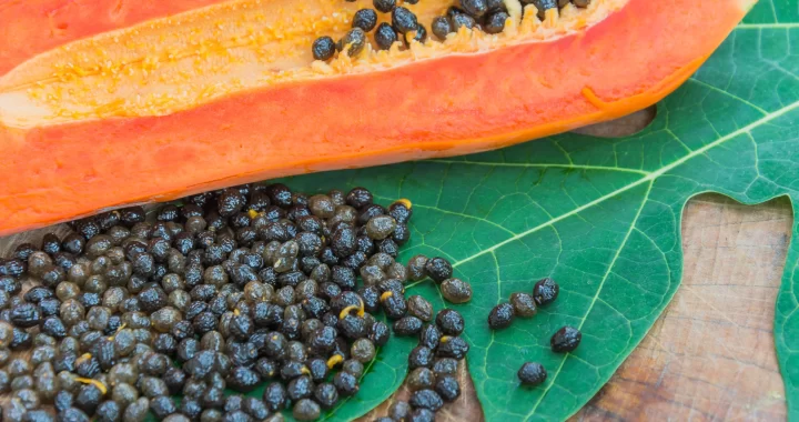 Los Poderosos Usos de las Semillas de Papaya para la Salud: Guía Completa de Propiedades y Recetas