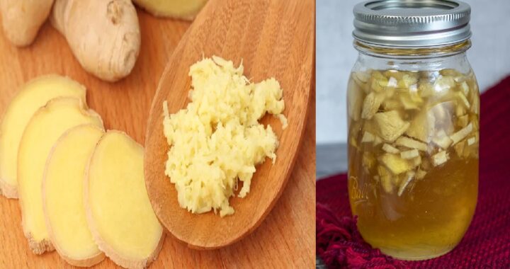 Jengibre Fermentado en Miel: propiedades, precauciones y Cómo Prepararlo para una Mejor Salud