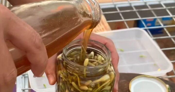 Flores de papaya en miel: Remedio natural para el invierno.